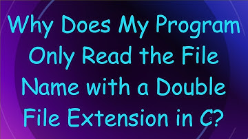 Why Does My Program Only Read the File Name with a Double File Extension in C?