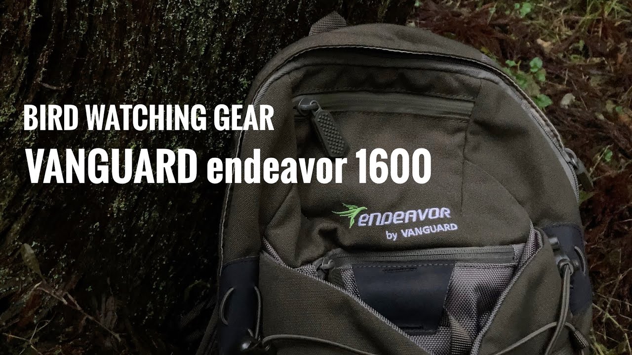 野鳥観察バックパック endeavor 1600 - YouTube