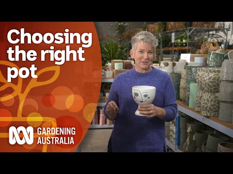 How to choose the right pot for your planting needs | Gardening 101 | Gardening Australia