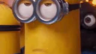 Bla bla bla bla minion