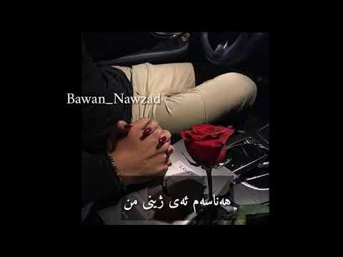 شلاو هاوريان