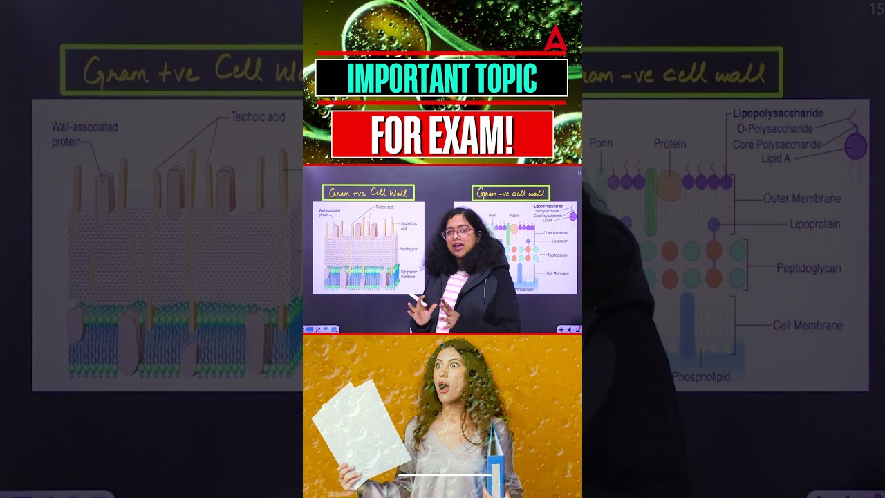 Important topic for exam! 