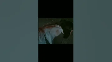 قلبي سيروو Fuunycomedy مسلسلات تركية مسلسل طائر الرفراف خطف سيران شاركو 