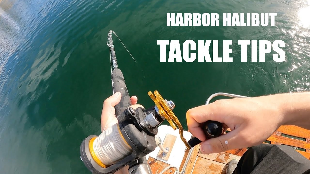 Harbor HALIBUT fishing with LIVE BAIT! (tackle tips) 