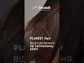 Mastelli Plinest hair - полінуклеотиди для відновлення росту волосся.