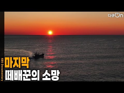 마지막 떼배꾼의 <strong>소망</strong> [다큐ON-Docu ON] | KBS 260711 방송