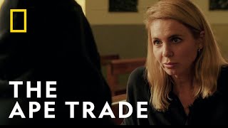 The Ape Smuggling Trade | Trafficked: Underworlds with Mariana van Zeller |  National Geographic UK