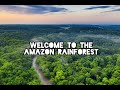 Welcome to the amazon   amazon jungle tours  off roads travel better in 4k  subtitles on