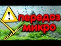 Передозировка микроудобрений в аквариуме. Неправильная стрижка растений.