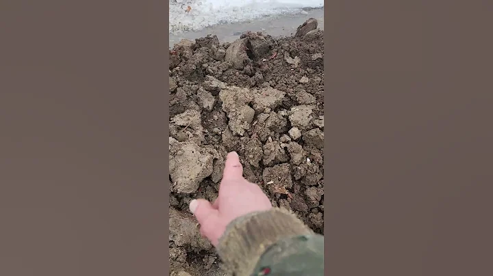 Basement waterproofing clay soil + junk gets hauled away