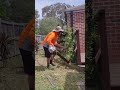 Rediscovering his space  #backyard #yardcleanup