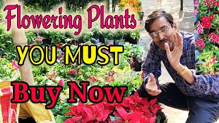 Excellent flowering plants you must buy in November and December // Must Buy flower 🌺🌻🌹🌷Plants
