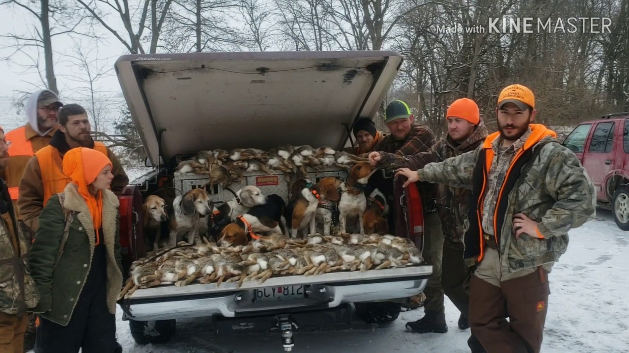 rabbit-hunting-feb-9-10-2019-120-rabbits-in-2-days-youtube