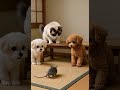 الفأر دكي جدا Cat النظافه Cute موسيقار Funny اهميه Cutecat الجيلي Kitten المراه الفأر دكي جدا Cat النظافه Cute موسيقار Funny اهميه Cutecat الجيلي Kitten المراه
