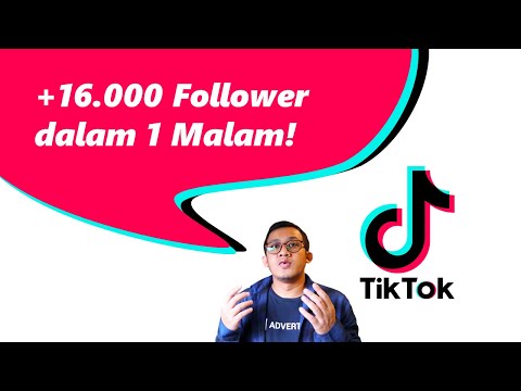 Supaya Komisi Affiliate Meledak Dagangan Auto Laris Banjir Follower dari FYP TikTok