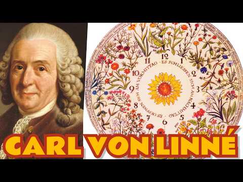The Father of Modern Botany and His Twelve Apostles | Carl Linnaeus Documentary