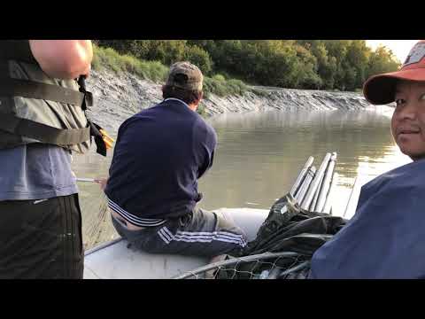 Salmon Dipnetting