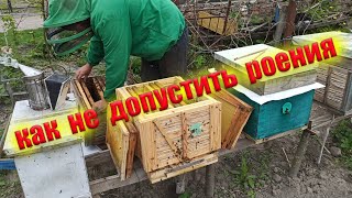 Противороевой метод Демари. Как вывести пчел из роевого состояния. Расширение пчел на пасеке весной.