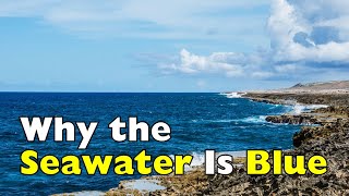 Why the Ocean Is Blue (It’s Not Just the Sky) [ID2206]