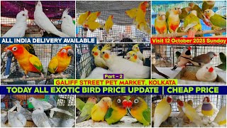 Kolkata Bird Market | Exotic Bird Price Update | Galiff Street Pet Market | 12/10/2025 |Chepset