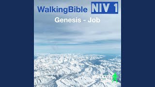 Job 12:13