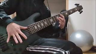 Download Lagu Death - Lack of Comprehension (Bass Cover) MP3