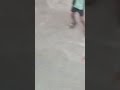 قرقبوا قرقبوا