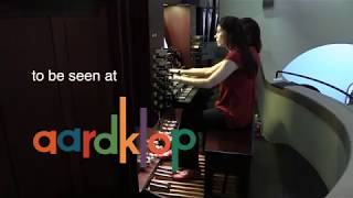 Rooi4 Organ Duo at Aardklop 2018