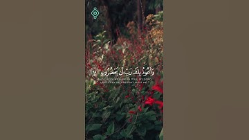 ﴿ قال ربِّ ارجعون ﴾ - سورة المؤمنون  الآيات (97-98-99) | تلاوة مؤثرة بصوت هيثم الدخين 🎧