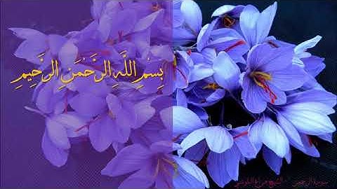 /من أجمل التلاوات كلها عذوبة راحه تغمر القلوب لاتوصف