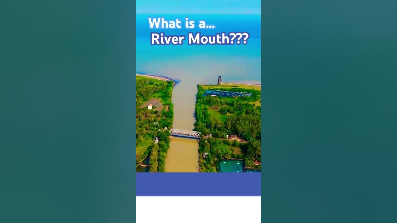 What Is A River Mouth What Are River Mouths River Mouth Explained what-is-a-river-mouth-what-are-river-mouths-river-mouth-explained
