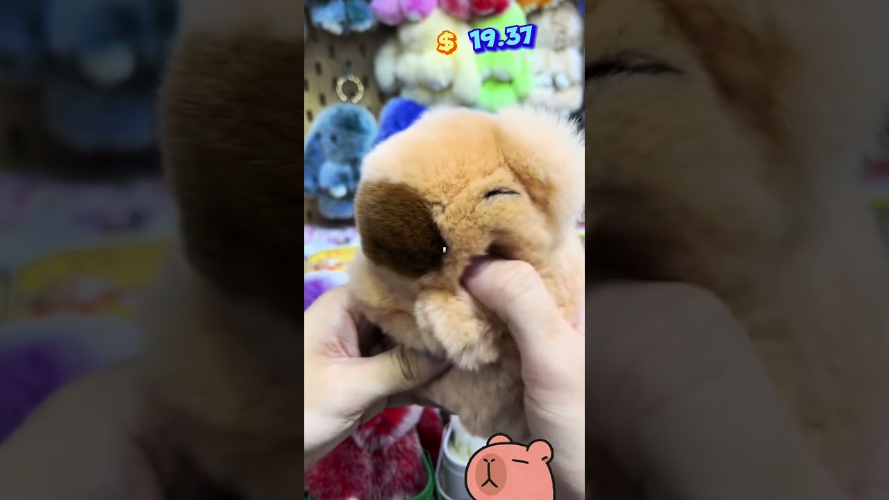 Bunny Lulu's New Chubby Plush Keychain: A Cute and Affordable Treat!