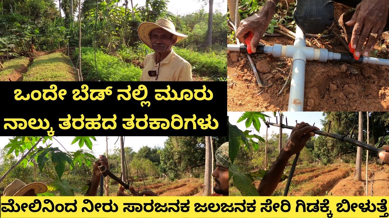 7 ಗುಂಟೆ ಜಾಗದಲ್ಲಿ ವಿಧವಿಧವಾದ ಹಣ್ಣು ಮತ್ತು ತರಕಾರಿಯನ್ನು ಕಡಿಮೆ ನೀರು ಕೊಟ್ಟು ಬೆಳೆಯುತ್ತಿದ್ದಾರೆ