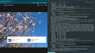 POC Auto Photo Compressor Demo screenshot 4