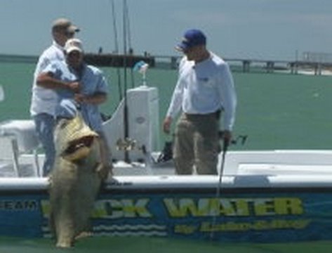 florida fishing couple Goliath Grouper Fishing! HQ Chew On This Fishing Show