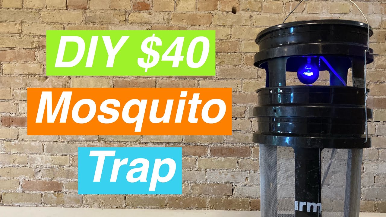 DIY 5 Gallon Pail Mosquito Trap YouTube