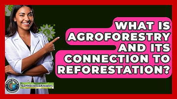 What Is Agroforestry And Its Connection To Reforestation? - Earth Science Answers