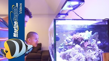 EcoTech Marine Wireless VorTech Control via iPhone