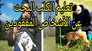 كيف تبدأ تدريب جروك على تقفي الأثر و إيجاد الأشخاص المفقودين مع خالد بادي apprendre au chien pister