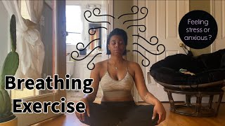 Breathing Exercise for stress Follow Along