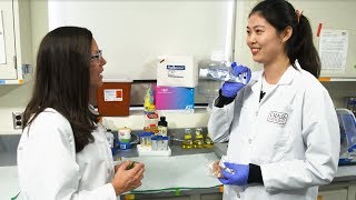 Studying nano sized food additives at UMass Amherst Behind the Science