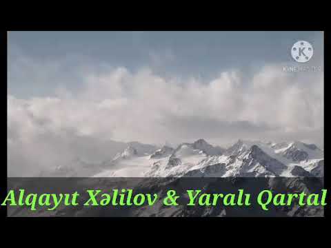 Alqayit Xəlilov & Yaralı Qartal