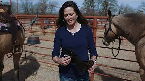 Lisa Lockhart's Trick to Extend Life of the Legacy...