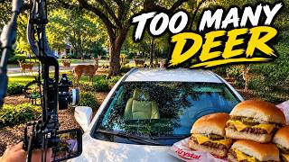 Hunting & Eating the Deer in this Savannah Neighborhood!