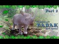Yuk kita membuat Badak dari kertas dengan mudah (Bagian 2)
