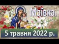 Маївка. 5 травня 2022 р.