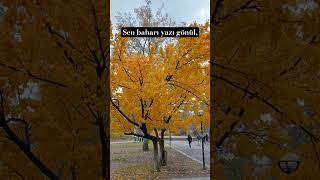 Sonbahar Mı Geldi🍂😓 Resimi