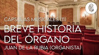 Cápsulas musicales (11) - «Breve historia del órgano» por Juan de la Rubia