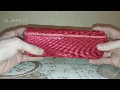 Акустическая система Sony SRS-XB21
