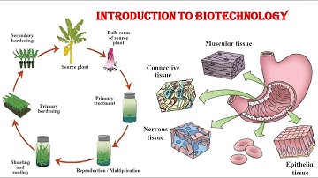 Introduction to Biotechnology # std 9 # part 2 # lecture video